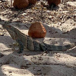 Meet your Posher, Renee